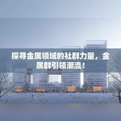 探寻金属领域的社群力量,金属群引领潮流!