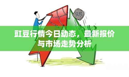 豇豆行情今日动态，最新报价与市场走势分析