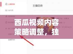 西瓜视频内容策略调整，独家内容不再独享？解读其最新动态与策略转变