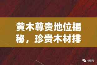 黄木尊贵地位揭秘,珍贵木材排名前十名!