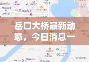 岳口大桥最新动态,今日消息一览