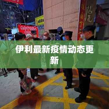伊利最新疫情动态更新