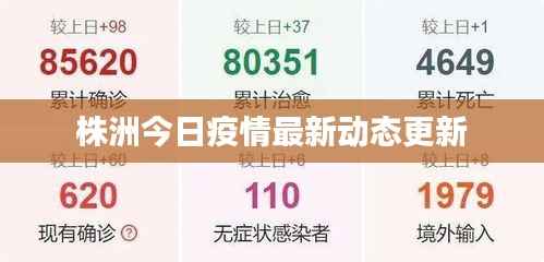 株洲今日疫情最新动态更新