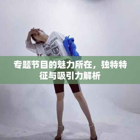 专题节目的魅力所在，独特特征与吸引力解析
