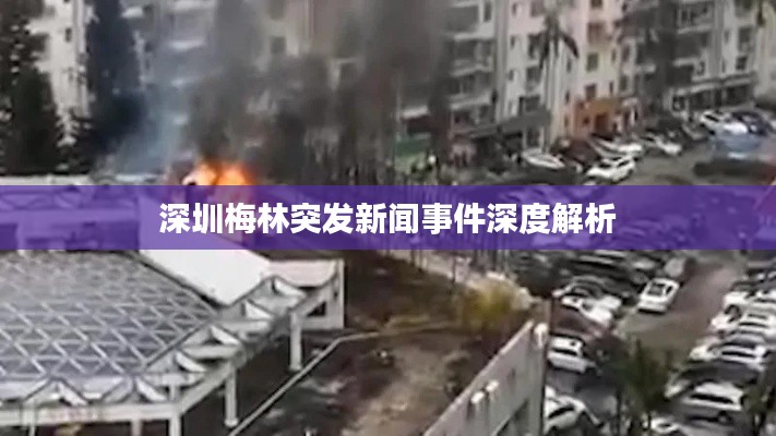 深圳梅林突发新闻事件深度解析