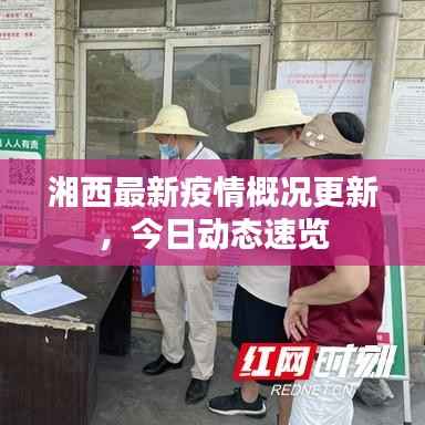 湘西最新疫情概况更新，今日动态速览