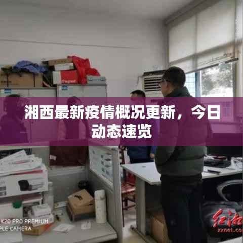 湘西最新疫情概况更新,今日动态速览