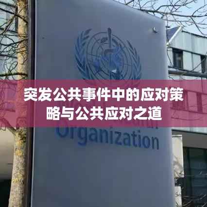 突发公共事件中的应对策略与公共应对之道
