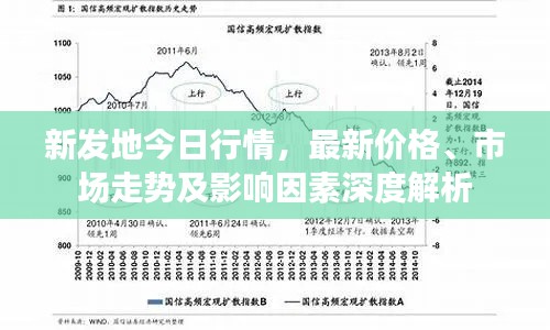 新发地今日行情，最新价格、市场走势及影响因素深度解析