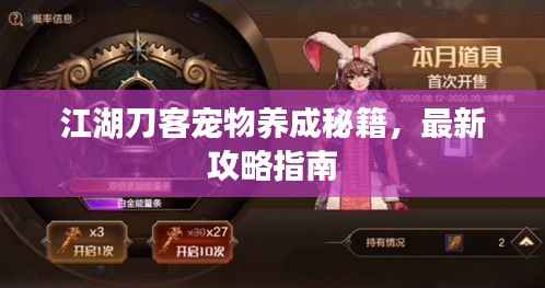 江湖刀客宠物养成秘籍，最新攻略指南