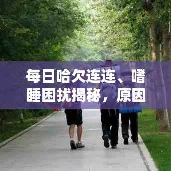每日哈欠连连、嗜睡困扰揭秘，原因与改善方法