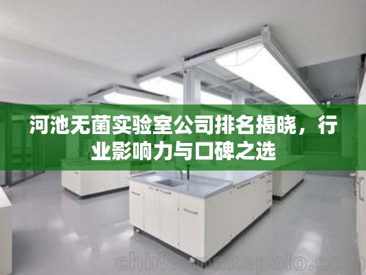 河池无菌实验室公司排名揭晓，行业影响力与口碑之选