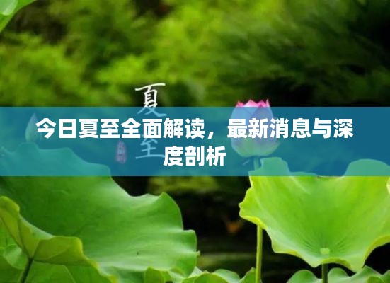 今日夏至全面解读，最新消息与深度剖析