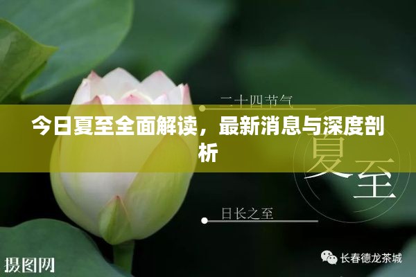 今日夏至全面解读,最新消息与深度剖析