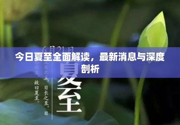 今日夏至全面解读,最新消息与深度剖析