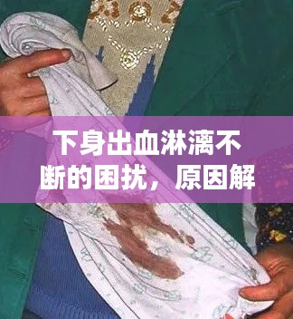 下身出血淋漓不断的困扰,原因解析与应对方法