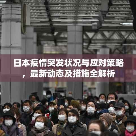 日本疫情突发状况与应对策略,最新动态及措施全解析