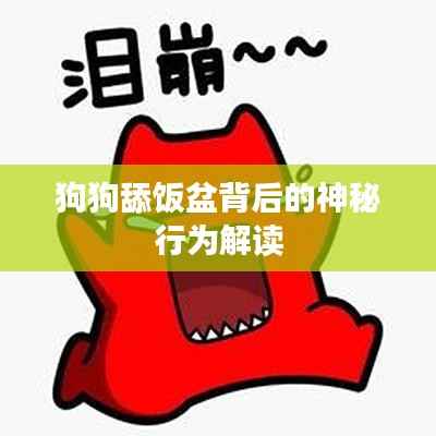 狗狗舔饭盆背后的神秘行为解读