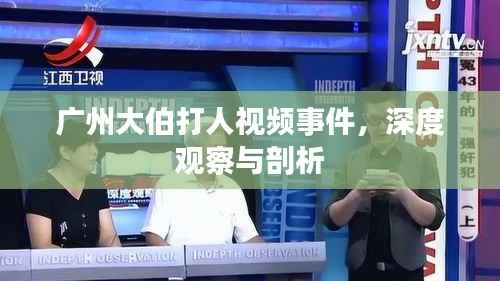 广州大伯打人视频事件，深度观察与剖析