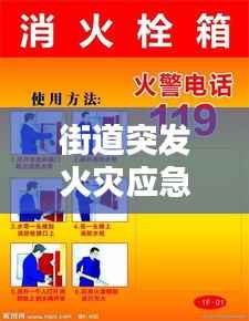 街道突发火灾应急预案,全面应对火灾危机,保障居民安全