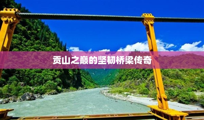 贡山之巅的坚韧桥梁传奇