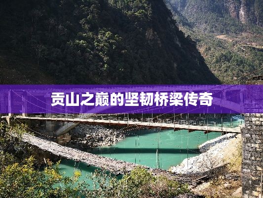 贡山之巅的坚韧桥梁传奇