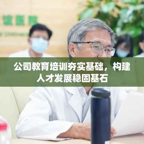 公司教育培训夯实基础,构建人才发展稳固基石