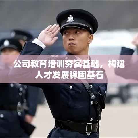 公司教育培训夯实基础,构建人才发展稳固基石