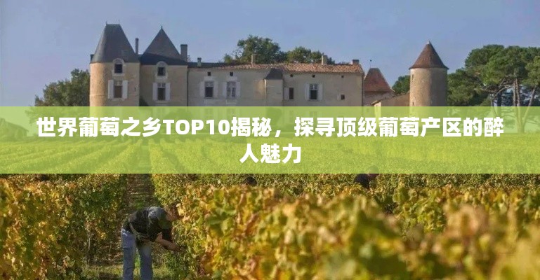 世界葡萄之乡TOP10揭秘，探寻顶级葡萄产区的醉人魅力