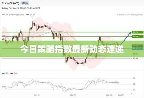 今日策略指数最新动态速递