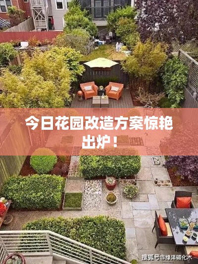 今日花园改造方案惊艳出炉!