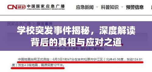学校突发事件揭秘，深度解读背后的真相与应对之道
