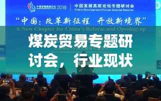 煤炭贸易专题研讨会,行业现状与发展趋势深度探讨