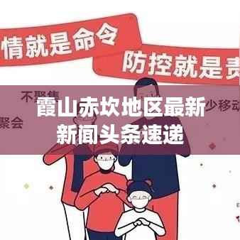 霞山赤坎地区最新新闻头条速递