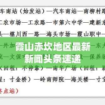 霞山赤坎地区最新新闻头条速递