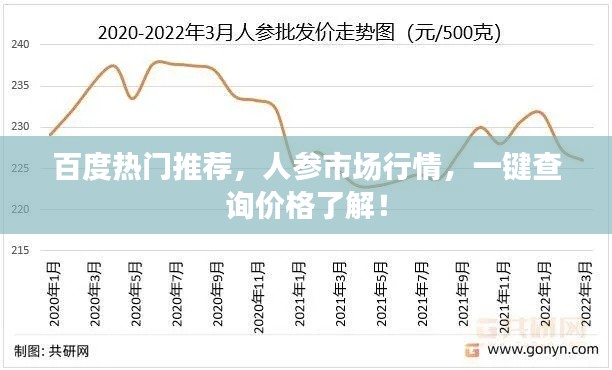 百度热门推荐,人参市场行情,一键查询价格了解!