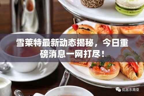 雪莱特最新动态揭秘,今日重磅消息一网打尽!