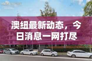 澳纽最新动态，今日消息一网打尽！