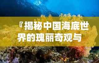 『揭秘中国海底世界的瑰丽奇观与瑰丽排名』