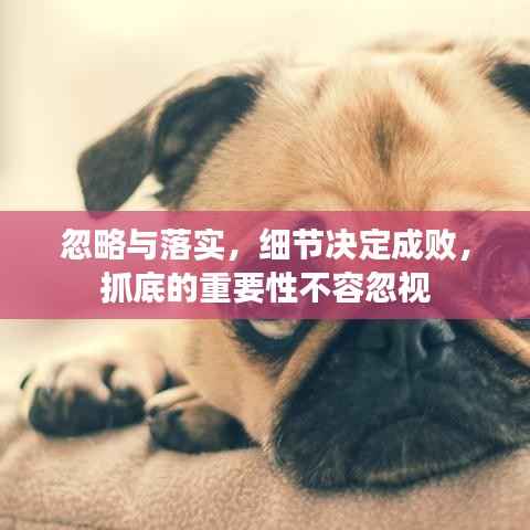 忽略与落实，细节决定成败，抓底的重要性不容忽视