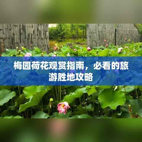 贵不可言 第4页