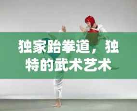 独家跆拳道，独特的武术艺术风采