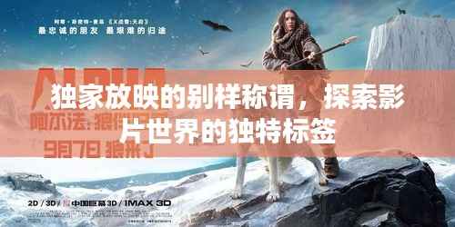 独家放映的别样称谓,探索影片世界的独特标签