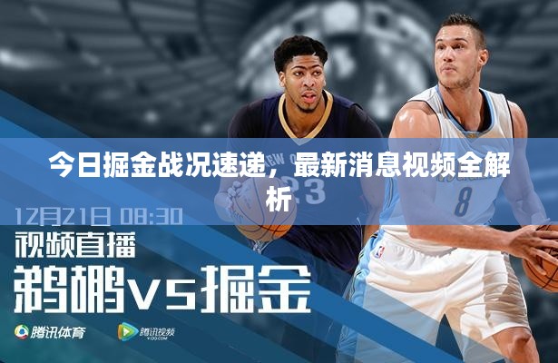 今日掘金战况速递，最新消息视频全解析