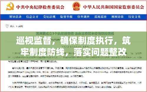 巡视监督,确保制度执行,筑牢制度防线,落实问题整改