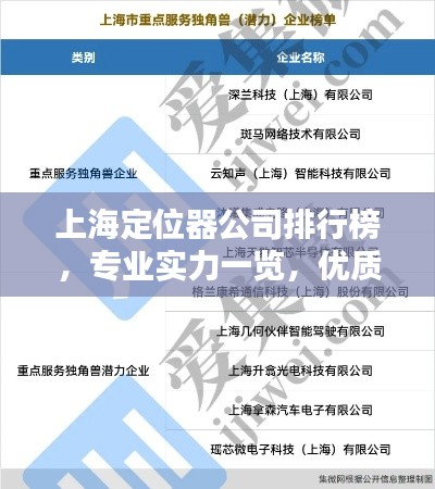 上海定位器公司排行榜，专业实力一览，优质企业不容错过！