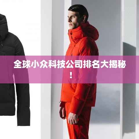 全球小众科技公司排名大揭秘！