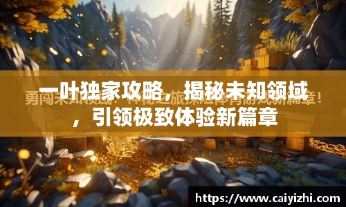 一叶独家攻略，揭秘未知领域，引领极致体验新篇章
