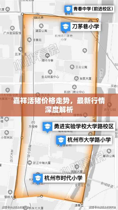 嘉祥活猪价格走势，最新行情深度解析