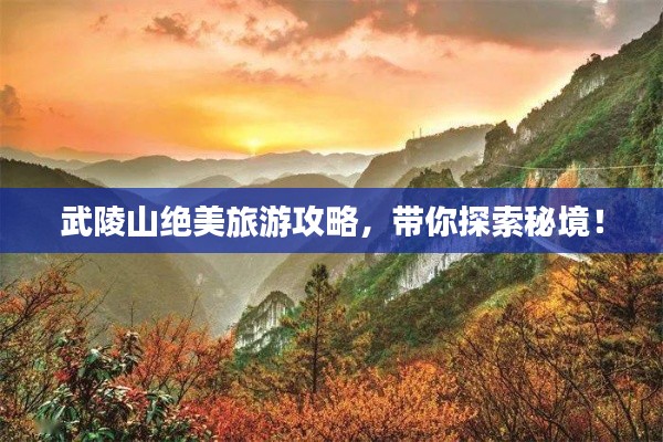 武陵山绝美旅游攻略,带你探索秘境!